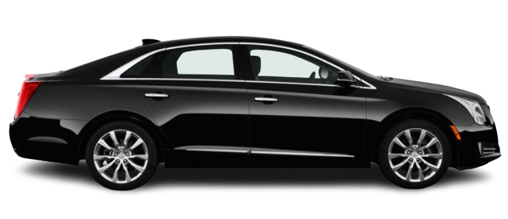 Business Sedan