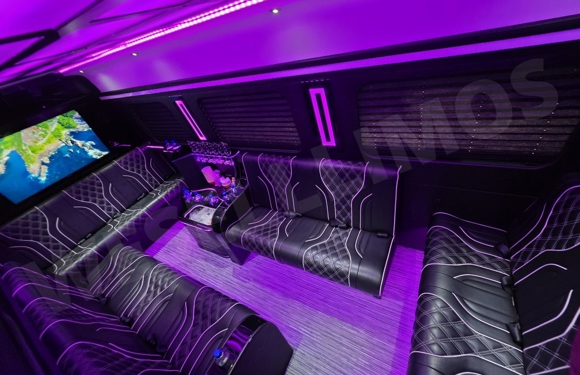 Mercedes Luxury Limo Sprinter Image