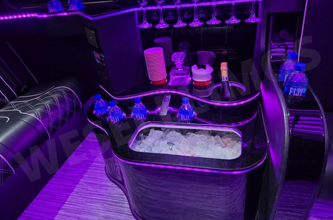 Mercedes Luxury Limo Sprinter Image
