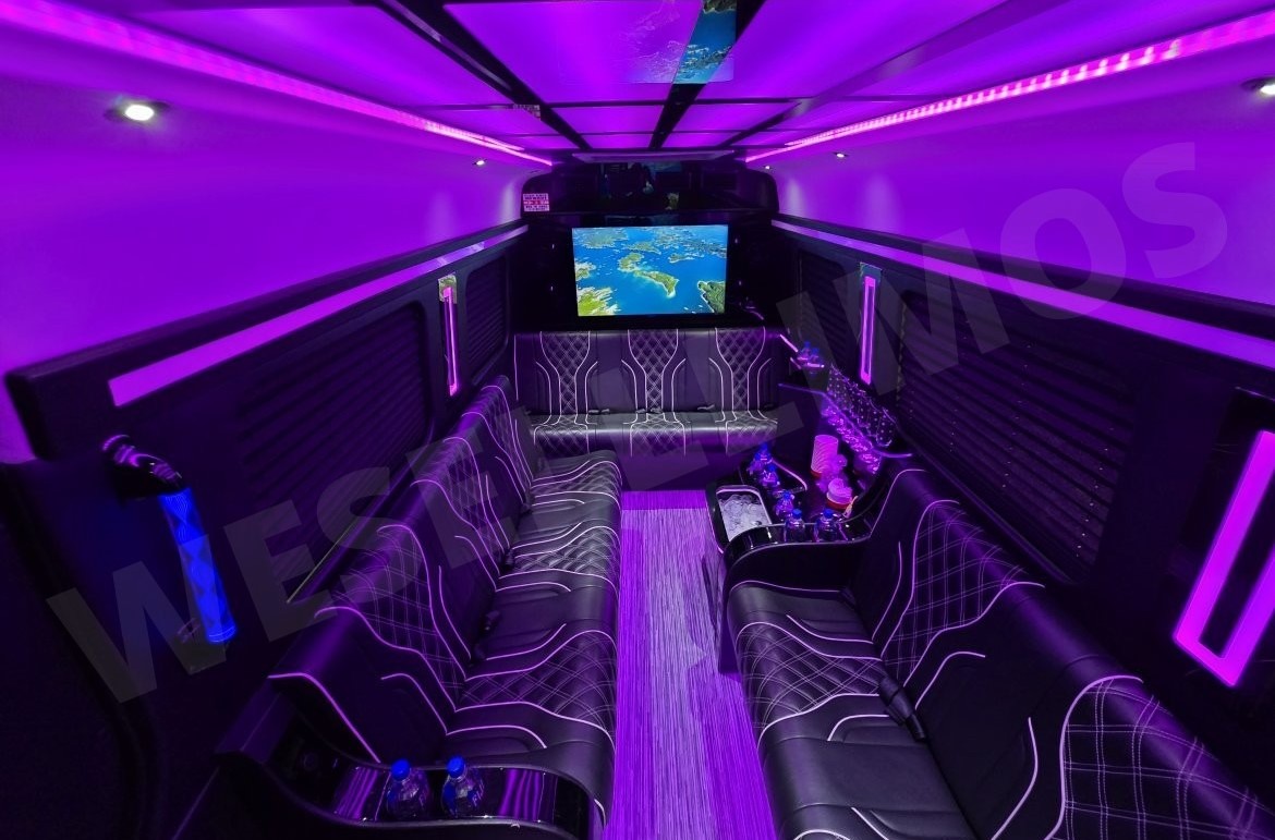 Mercedes Luxury Limo Sprinter Image