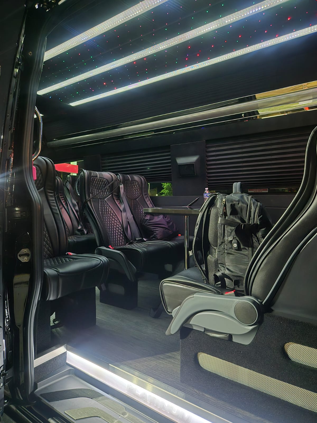 Mercedes Benz VIP Sprinter Image