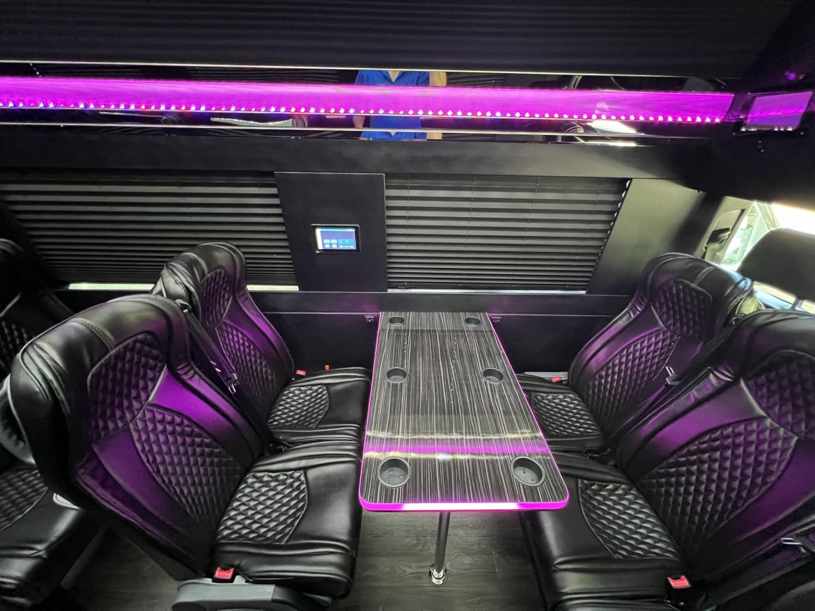 Mercedes Benz VIP Sprinter Image